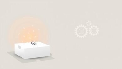 Subscription Box dan Servitization